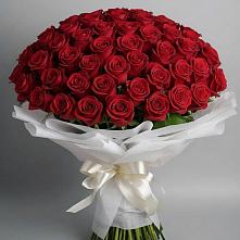 Букет 101 Красная роза Блэк Мэджик в Шелковке