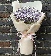 Букет цветов из:  Гипсофила #REPLACE_PRED# Шелковке