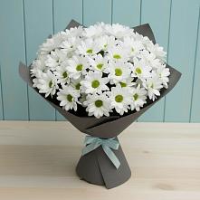 Букет цветов из:  Хризантемы в Шелковке