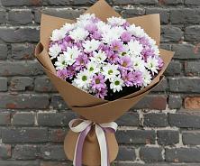 Букет цветов из:  Хризантемы в Шелковке