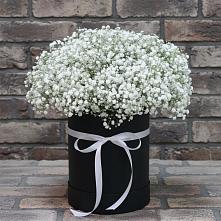 Цветочная композиция из Гипсофила в шляпной коробке в Шелковке