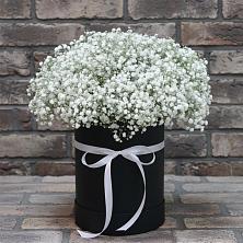 Цветочная композиция из Гипсофила в шляпной коробке в Шелковке