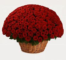 Премиум букет из: Розы #REPLACE_PRED# Шелковке