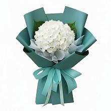 Букет цветов из:  Гортензия в Шелковке